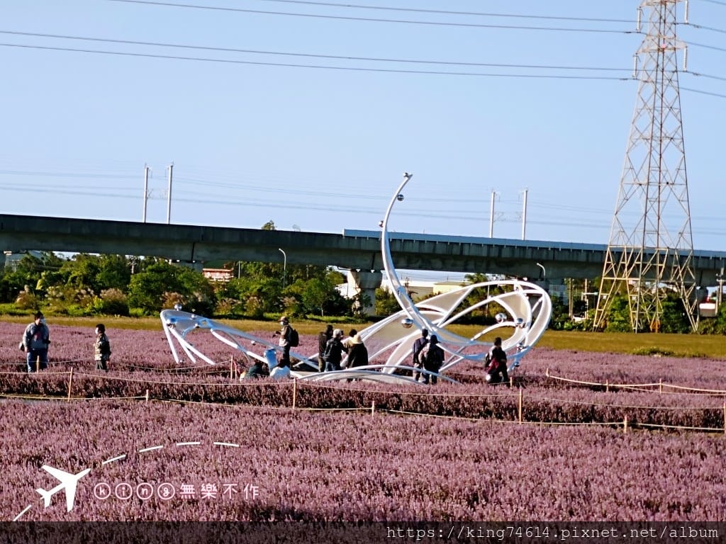 ［楊梅 景點］［ 仙草花節］2021 桃園仙草花節 延至12／12！
