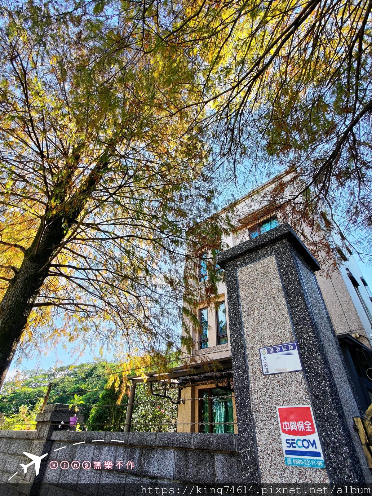 ［大溪 景點］［落羽松］偽出國~走訪落雨松大道