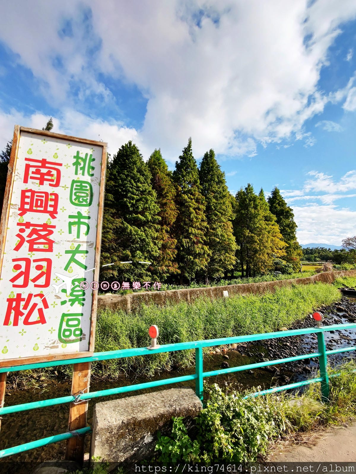［八德 景點］ ［落羽松］南興落羽松森林