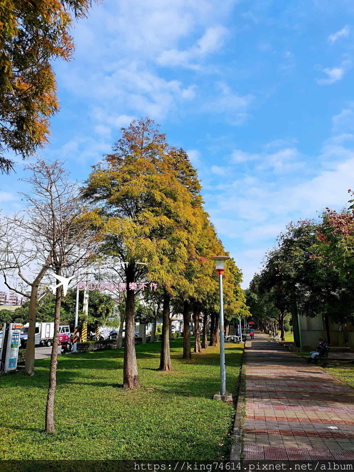 ［桃園 景點］［落羽松］隱藏在市區的落羽松~玉山公園