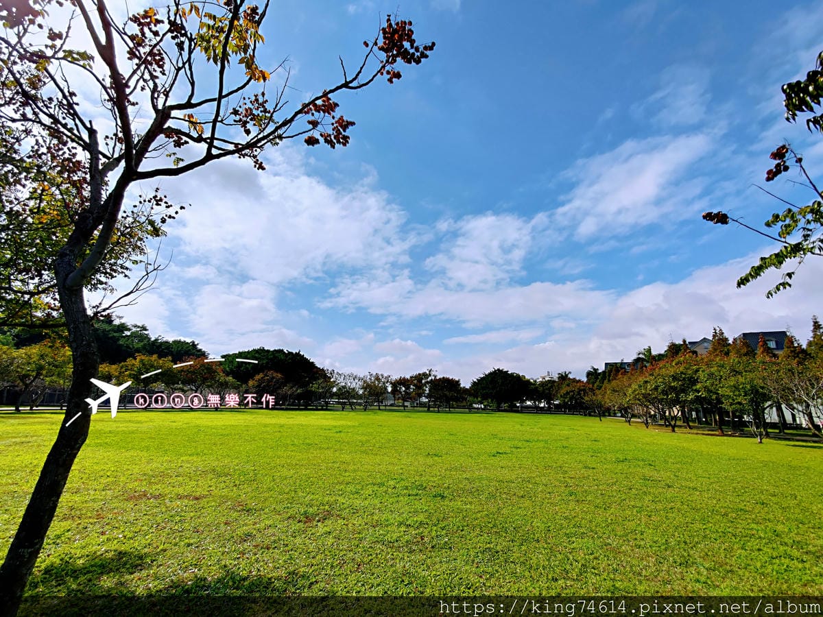 ［桃園 景點］［落羽松］隱藏在市區的落羽松~玉山公園