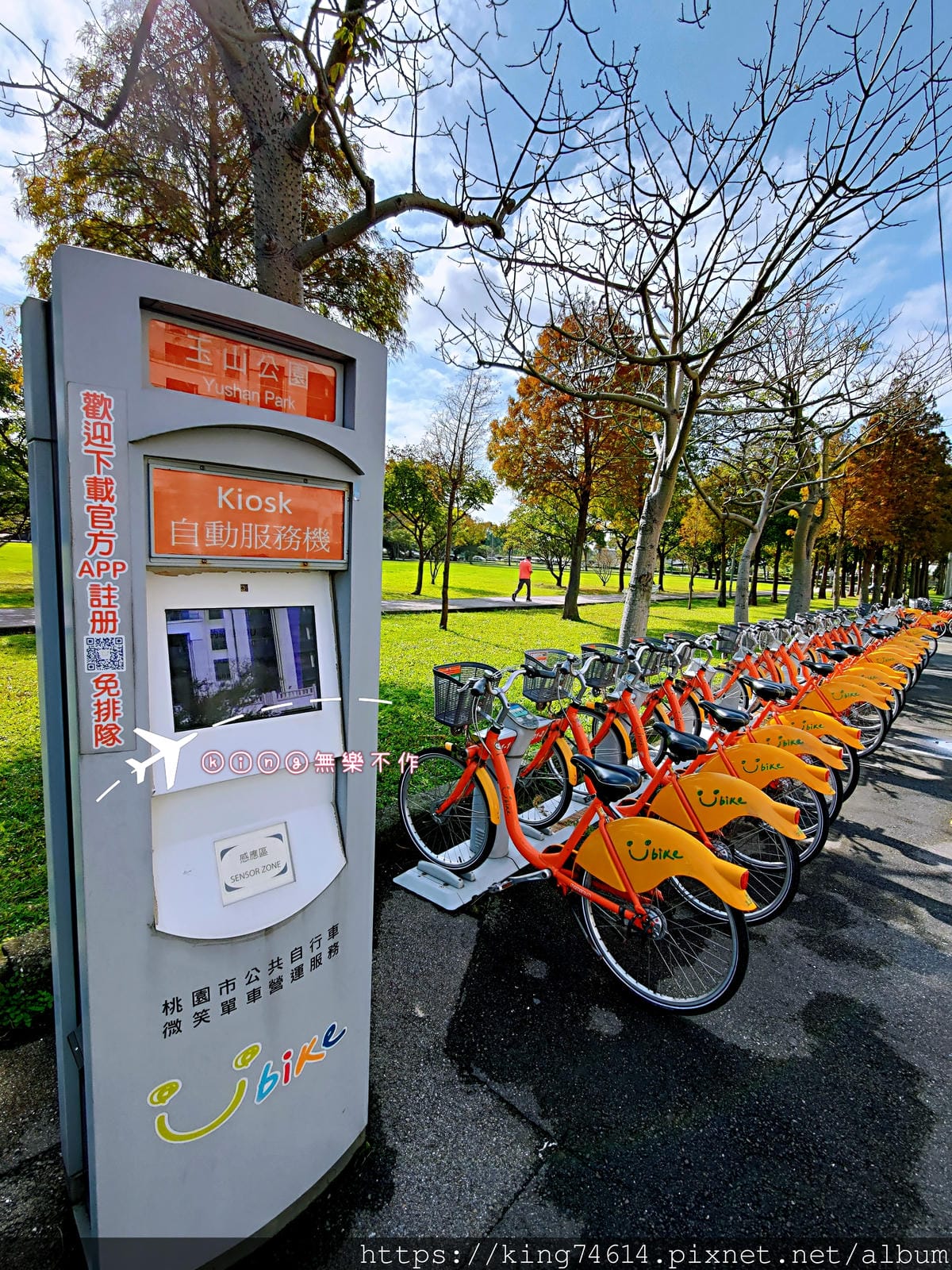 ［桃園 景點］［落羽松］隱藏在市區的落羽松~玉山公園