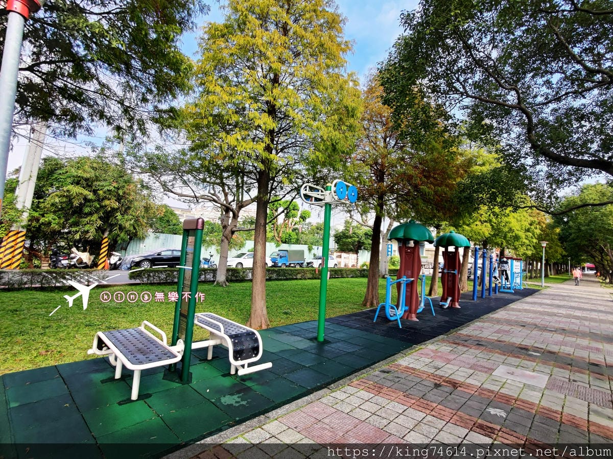 ［桃園 景點］［落羽松］隱藏在市區的落羽松~玉山公園