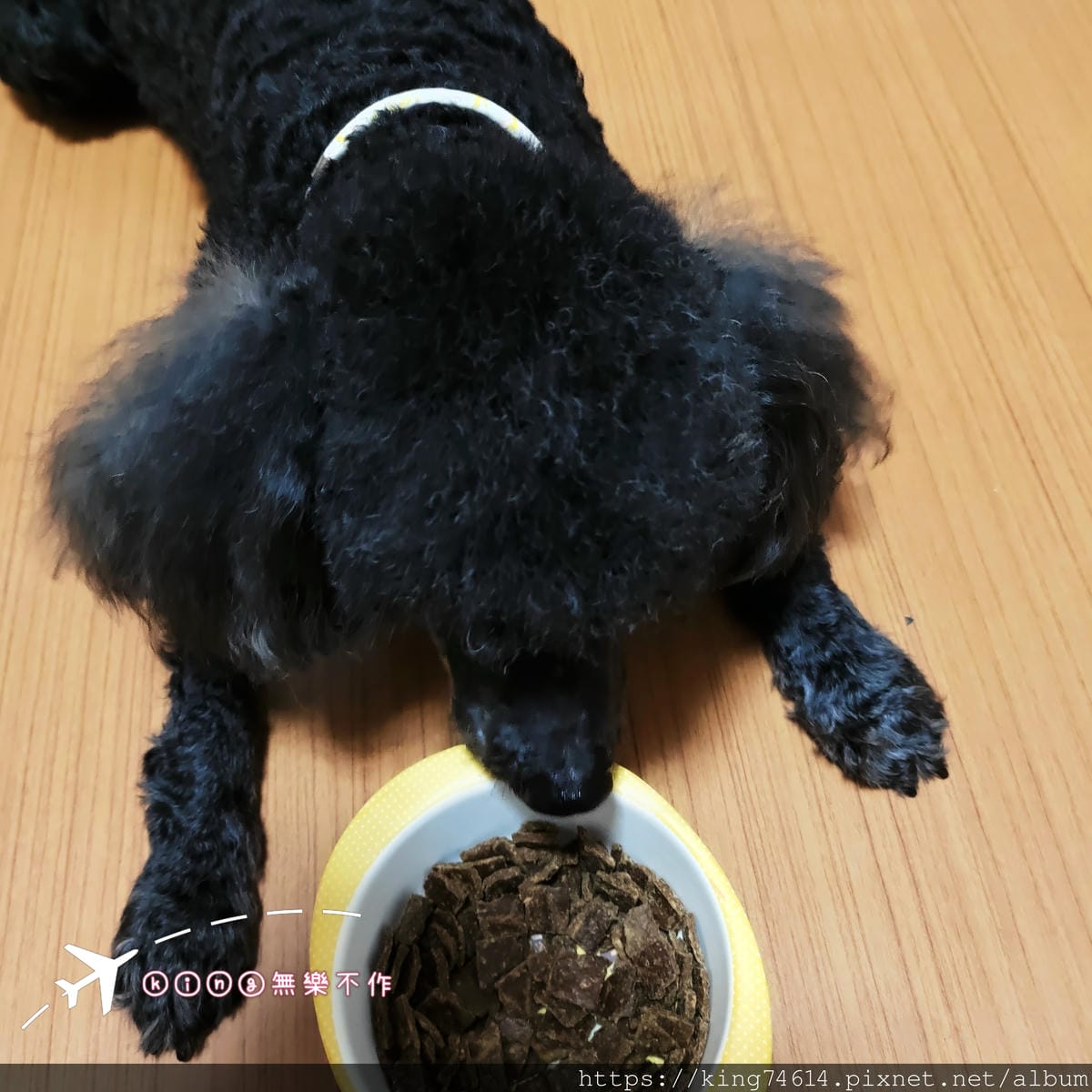 ［開箱］［寵物乾糧］ZIWI巔峰狗飼料中的王者，再也不怕狗狗挑食了!!