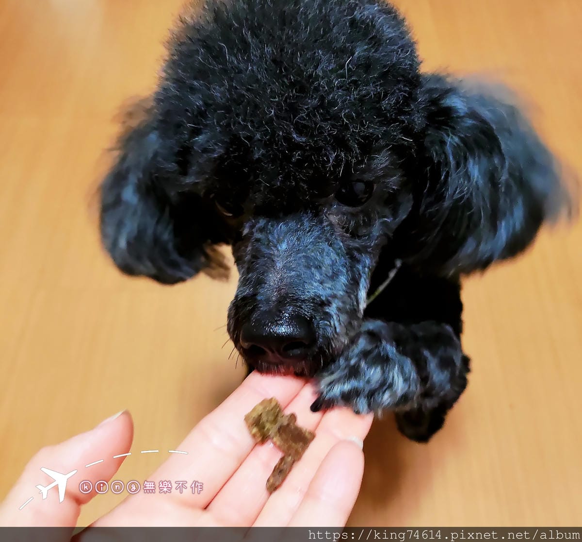 ［開箱］［寵物乾糧］ZIWI巔峰狗飼料中的王者，再也不怕狗狗挑食了!!