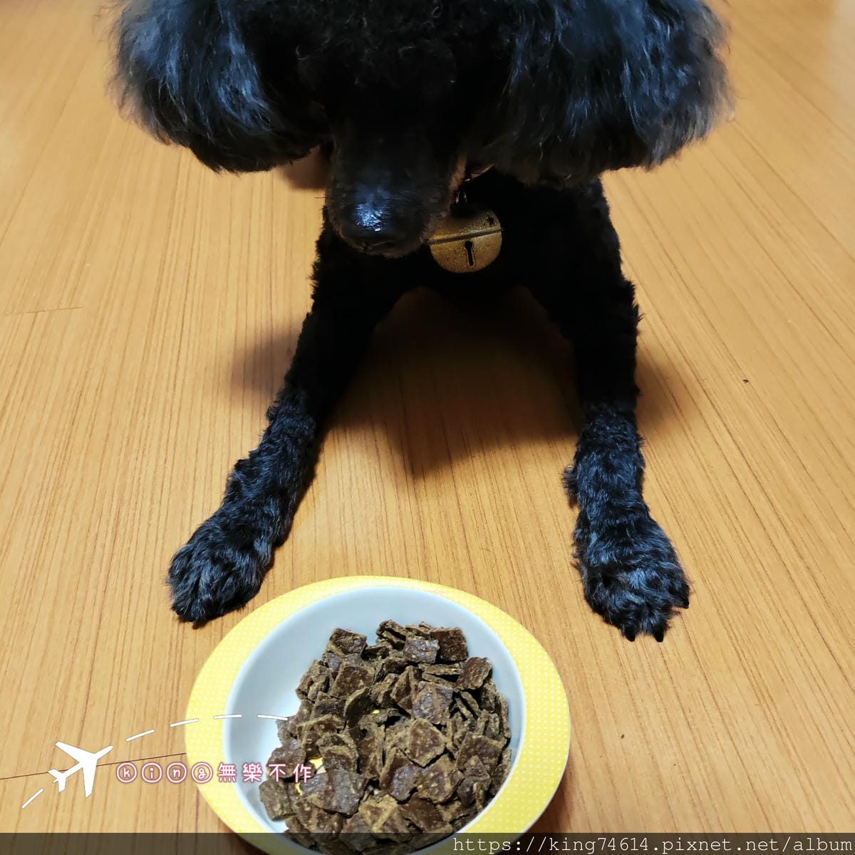 ［開箱］［寵物乾糧］ZIWI巔峰狗飼料中的王者，再也不怕狗狗挑食了!!