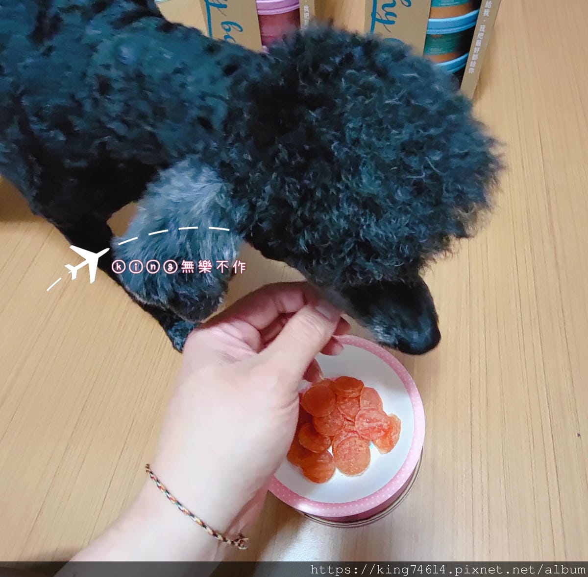 ［開箱］［寵物零食］果多 FAMILY BUDDY 寵物保健土雞肉乾