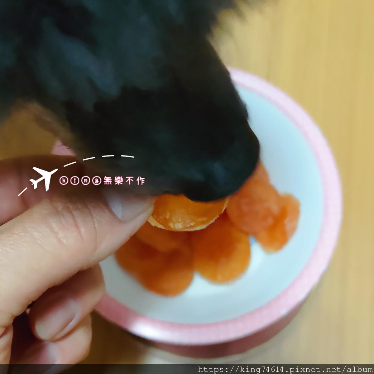 ［開箱］［寵物零食］果多 FAMILY BUDDY 寵物保健土雞肉乾