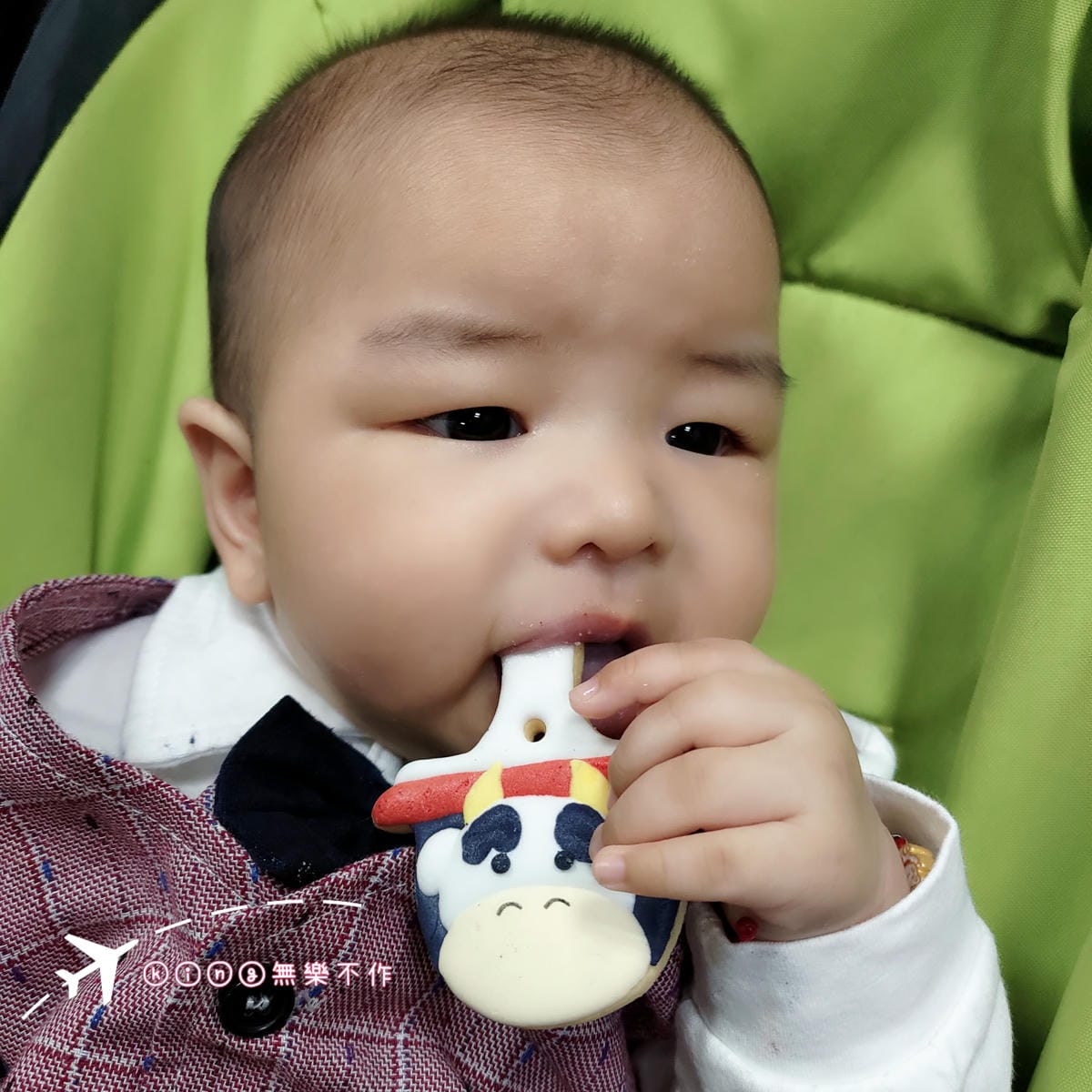 ［親子活動］奇奇的人生大事趴兔👉收涎儀式👶吉祥話