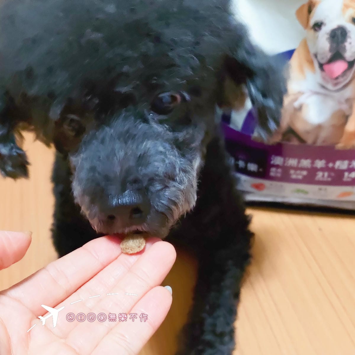 ［開箱］［寵物乾糧］True Colours 初卡樂🐶超乎想像的美味