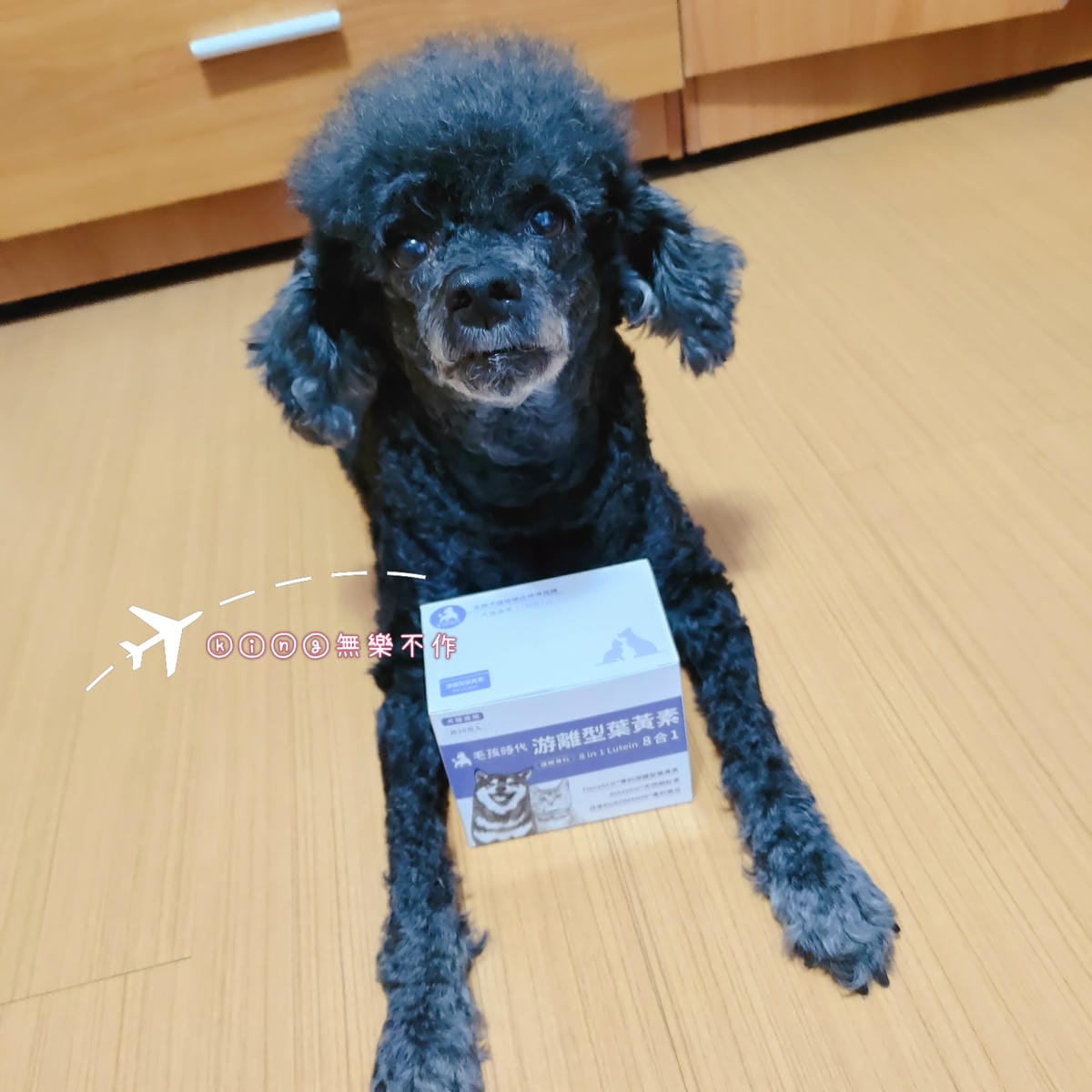 ［開箱］［寵物保健］毛孩時代 8合1游離型葉黃素