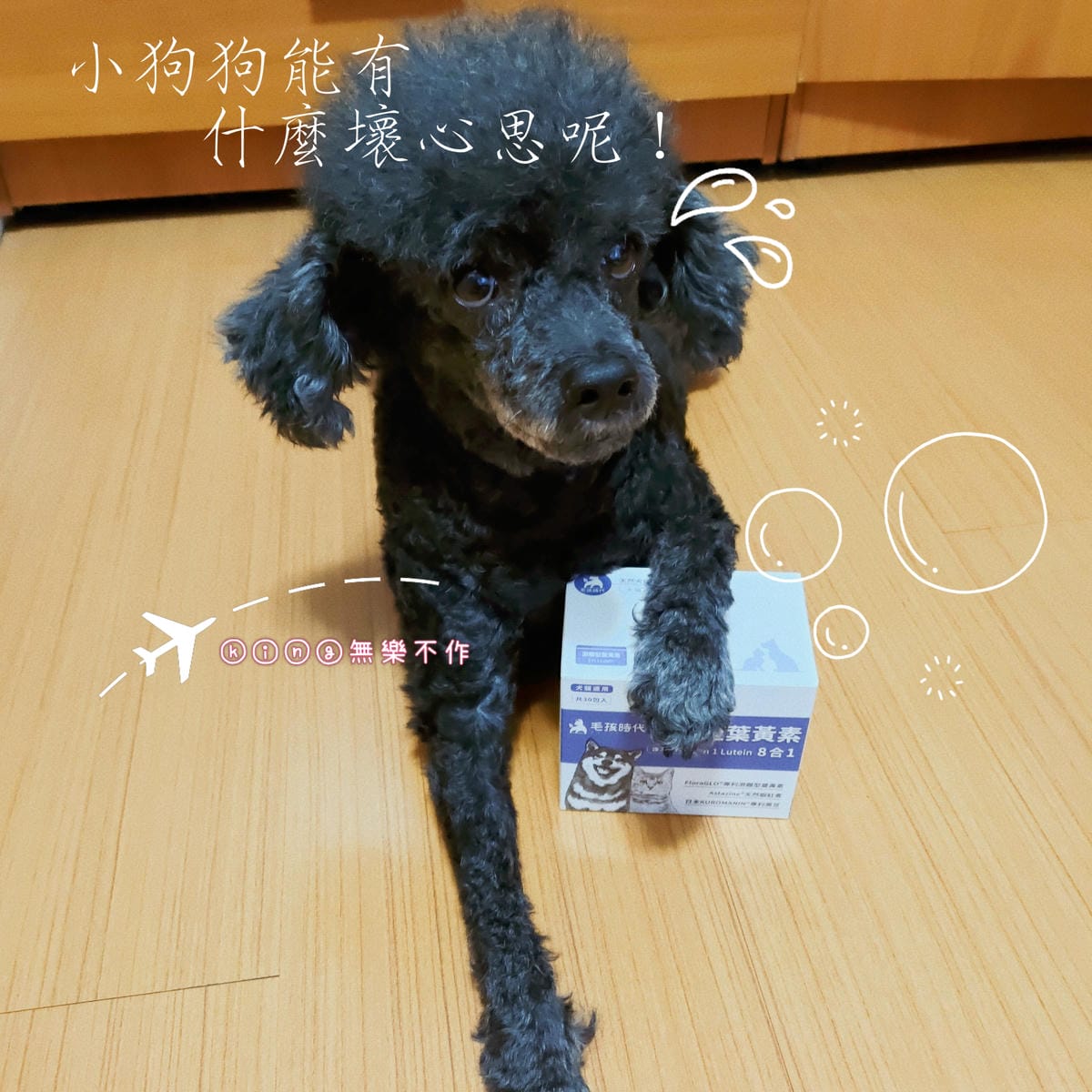 ［開箱］［寵物保健］毛孩時代 8合1游離型葉黃素
