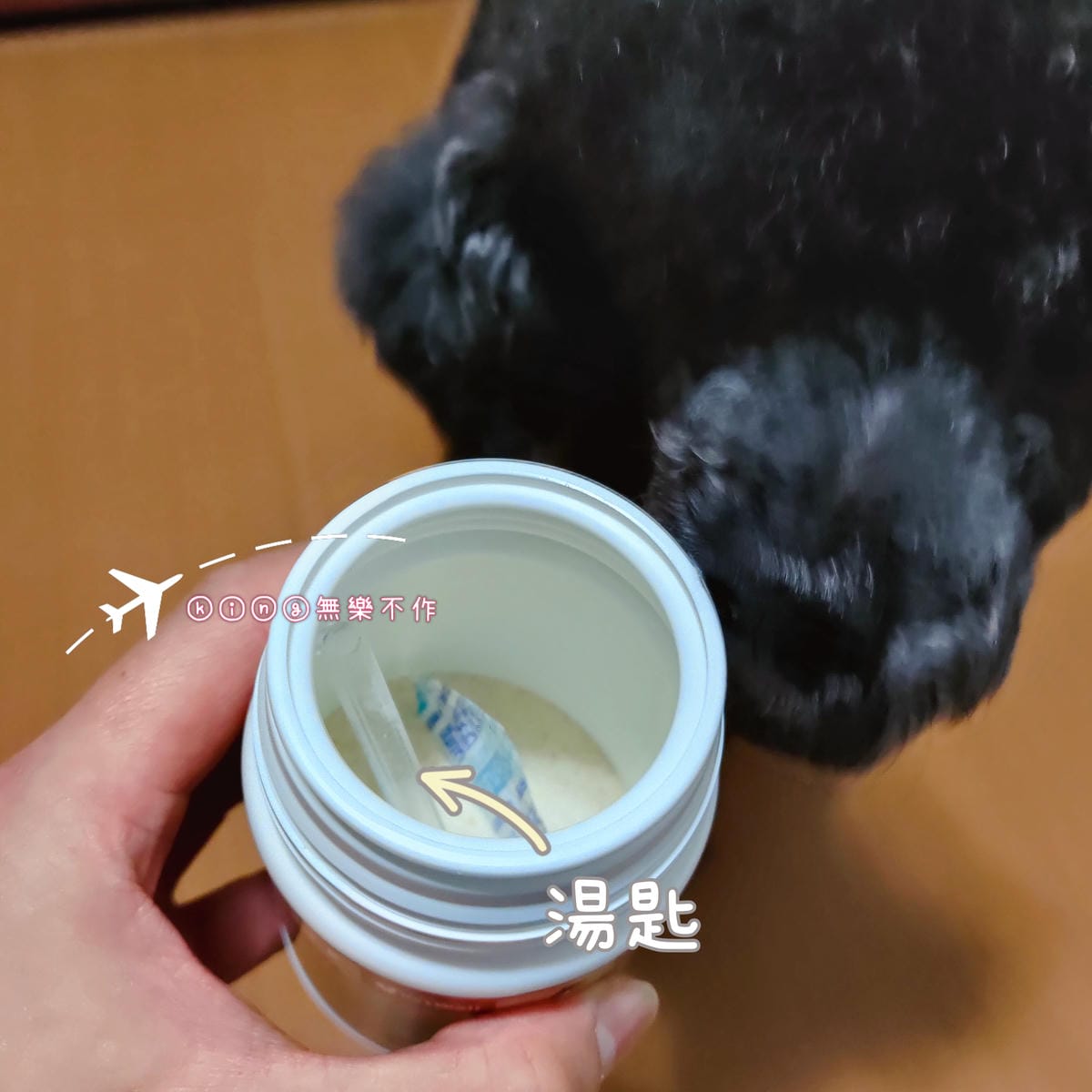 ［寵物保健］沛威維他命酵素 | 健康好“沛”