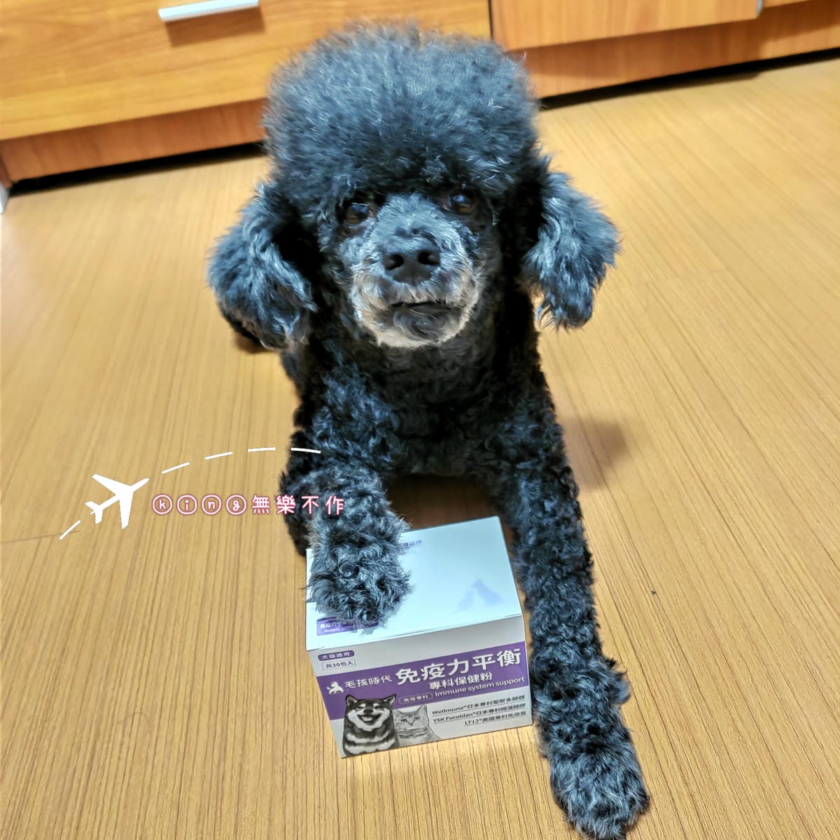 ［寵物保健］PTT網友最推薦寵物保健品牌毛孩時代 | 免疫力平衡保健粉