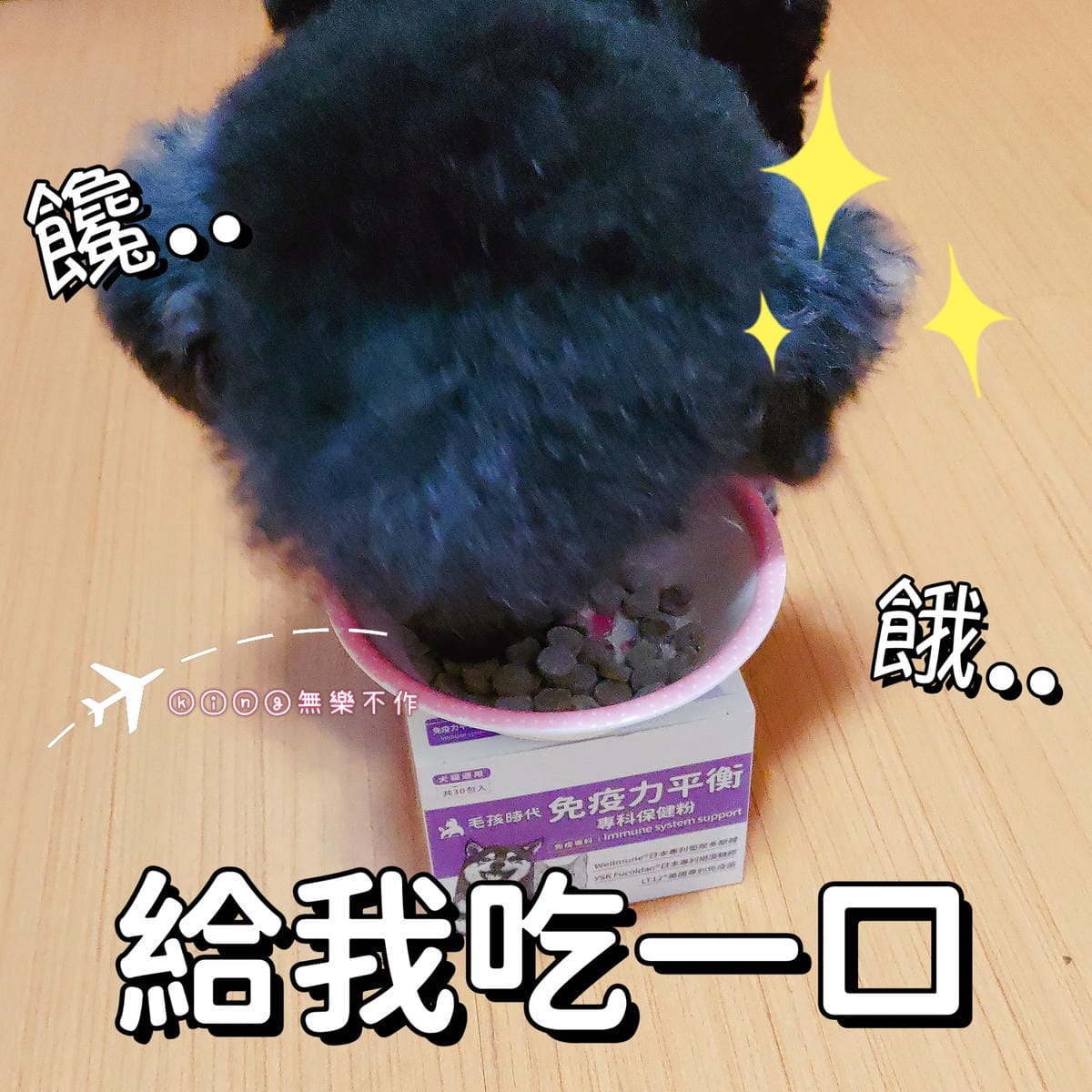 ［寵物保健］PTT網友最推薦寵物保健品牌毛孩時代 | 免疫力平衡保健粉