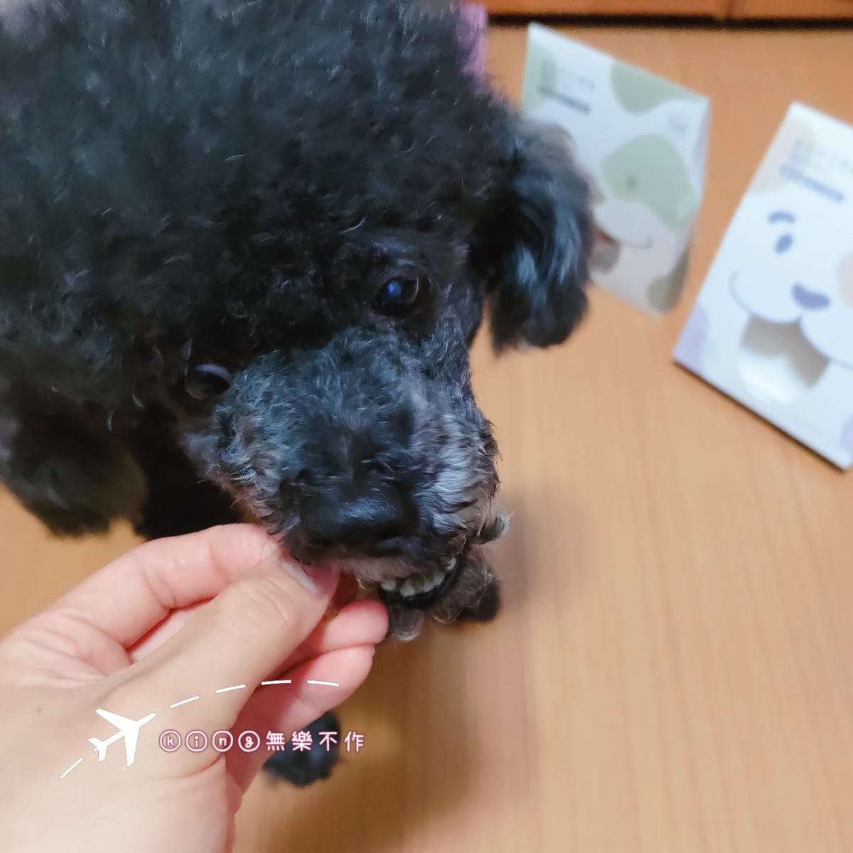 ［寵物 美食］伴拌日嚐 | 料好實在寵物鮮食 | 輕鬆解決毛孩的健康飲食煩惱
