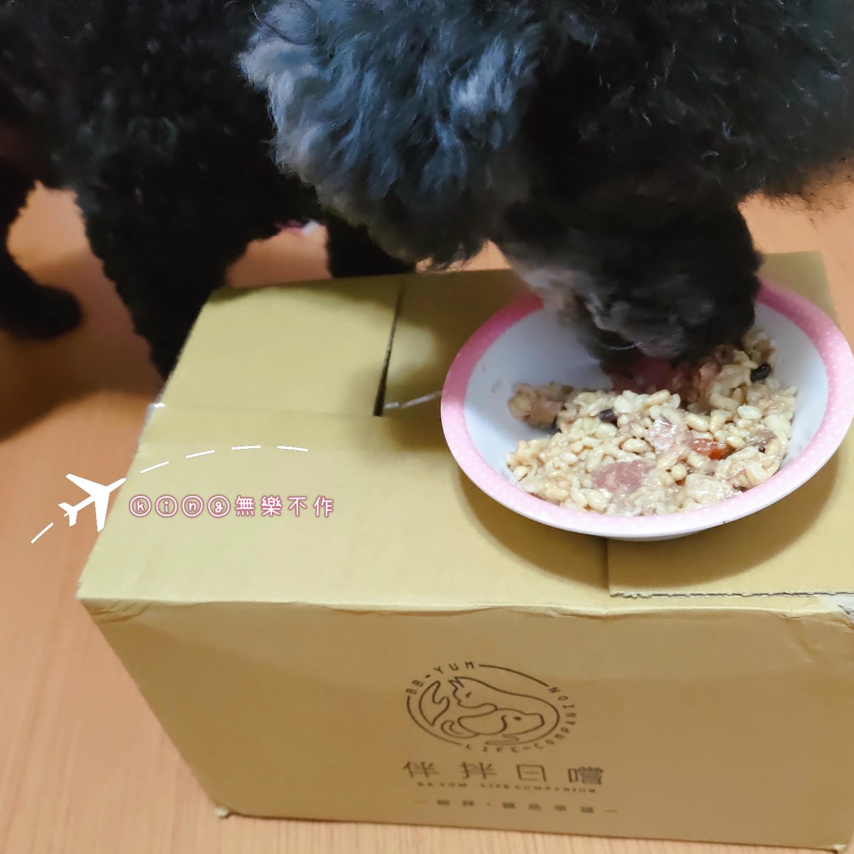 ［寵物 美食］伴拌日嚐 | 料好實在寵物鮮食 | 輕鬆解決毛孩的健康飲食煩惱