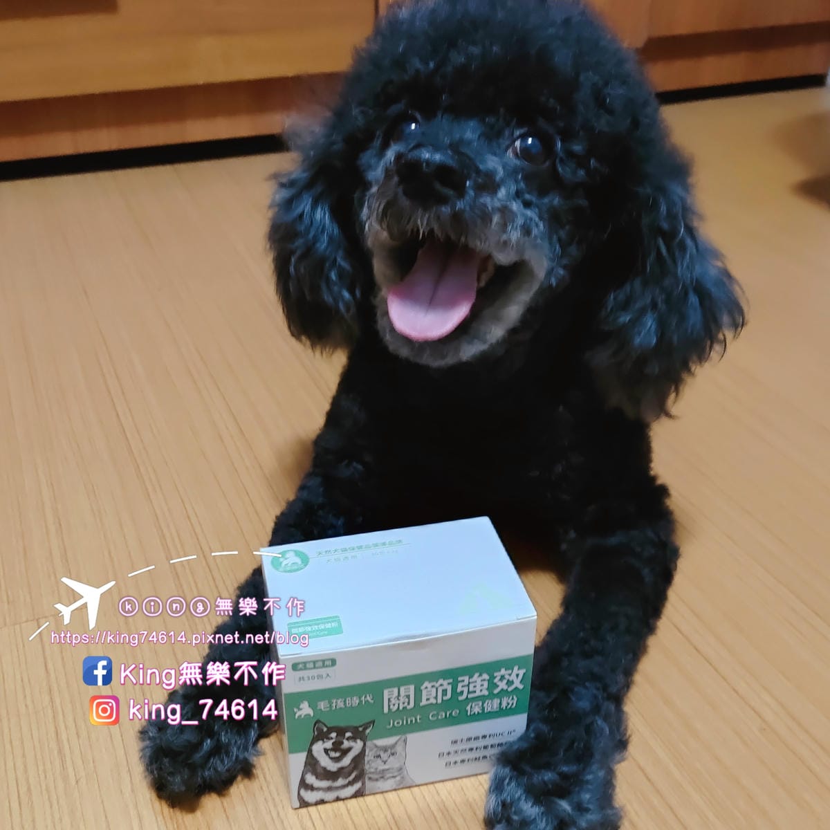 ［寵物保健］毛孩時代 強效關節保健粉 | 毛孩保健食品推薦