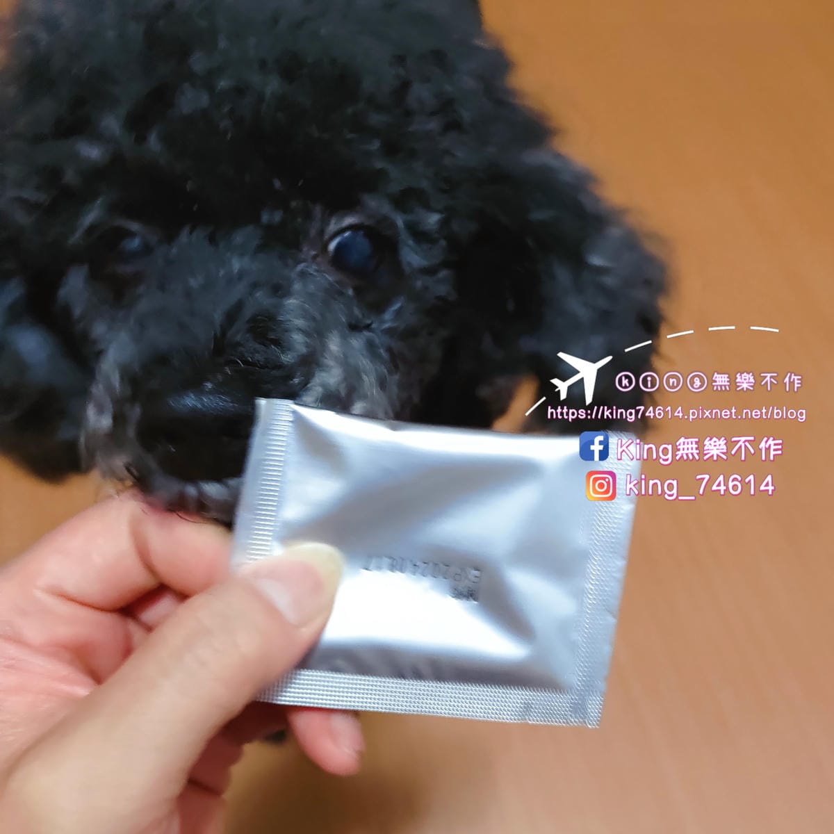 ［寵物保健］毛孩時代 強效關節保健粉 | 毛孩保健食品推薦