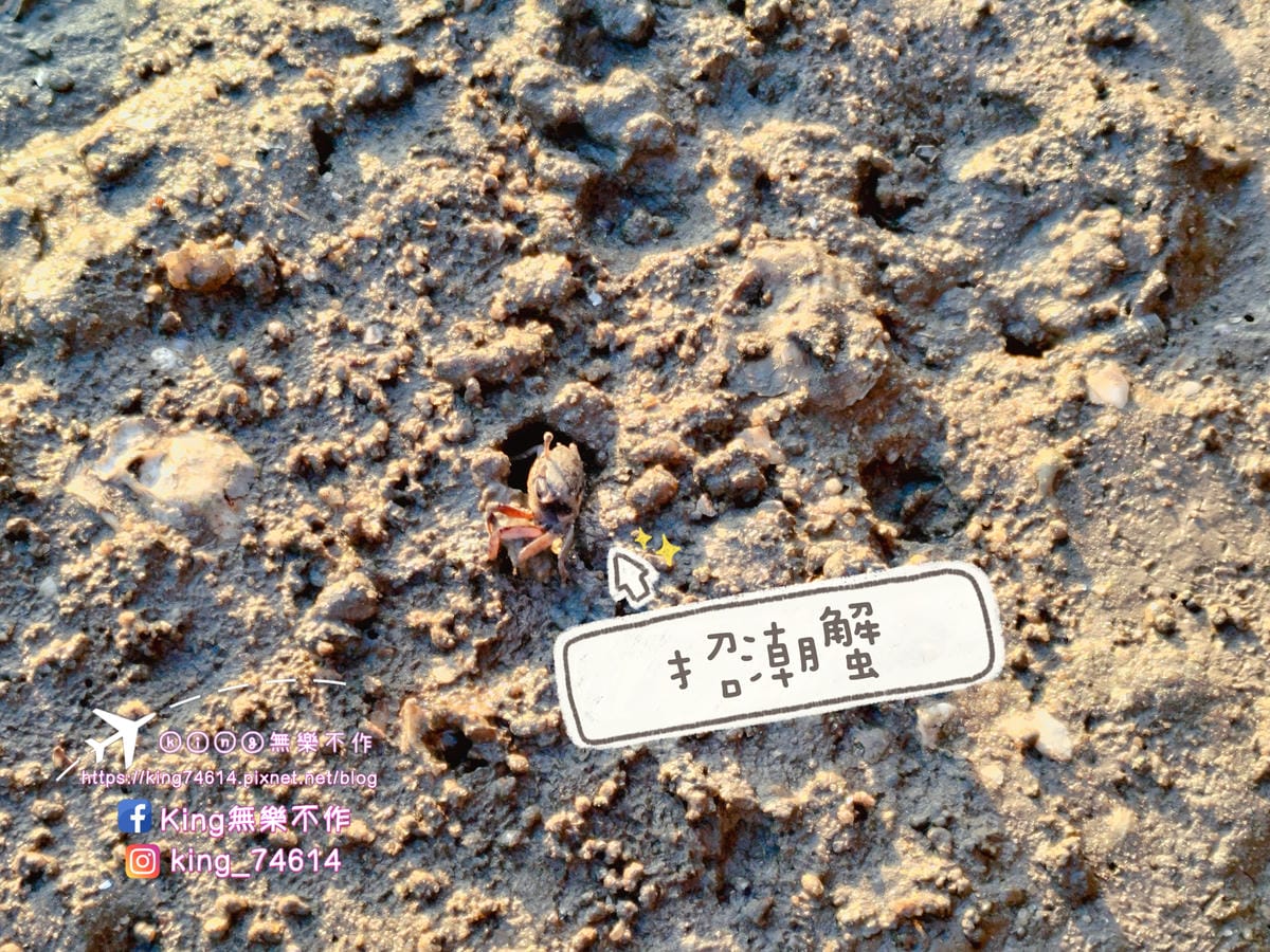 ［離島 金門］DAY1（金門機場✈️-建功嶼/珠山聚落/夜遊總兵署/後浦16藝文特區）