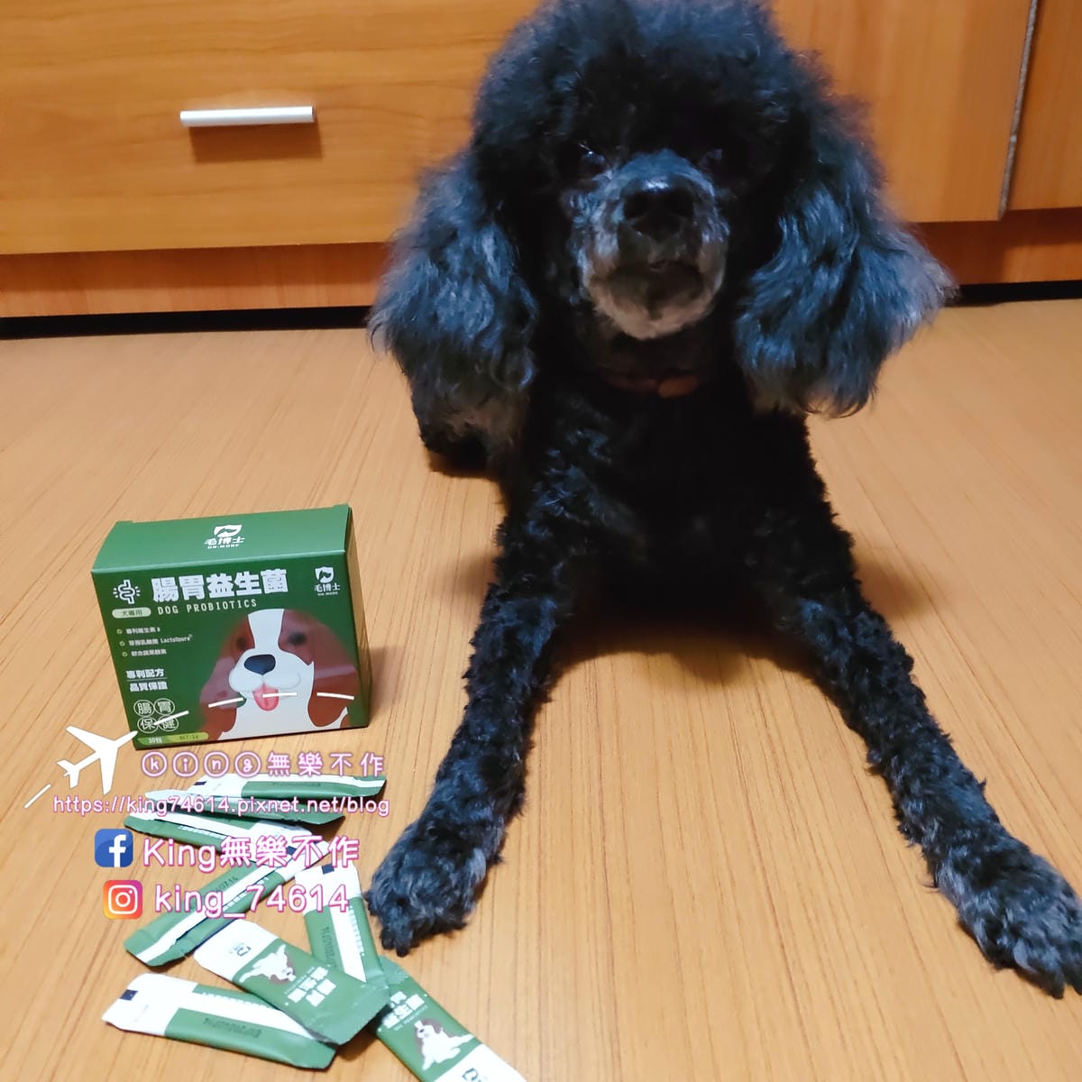 ［寵物 保健］毛博士drmorepet寵物保健 | 養膚鱉蛋粉 & 腸胃益生菌 |不含人工香料、色素、防腐劑、基因改造