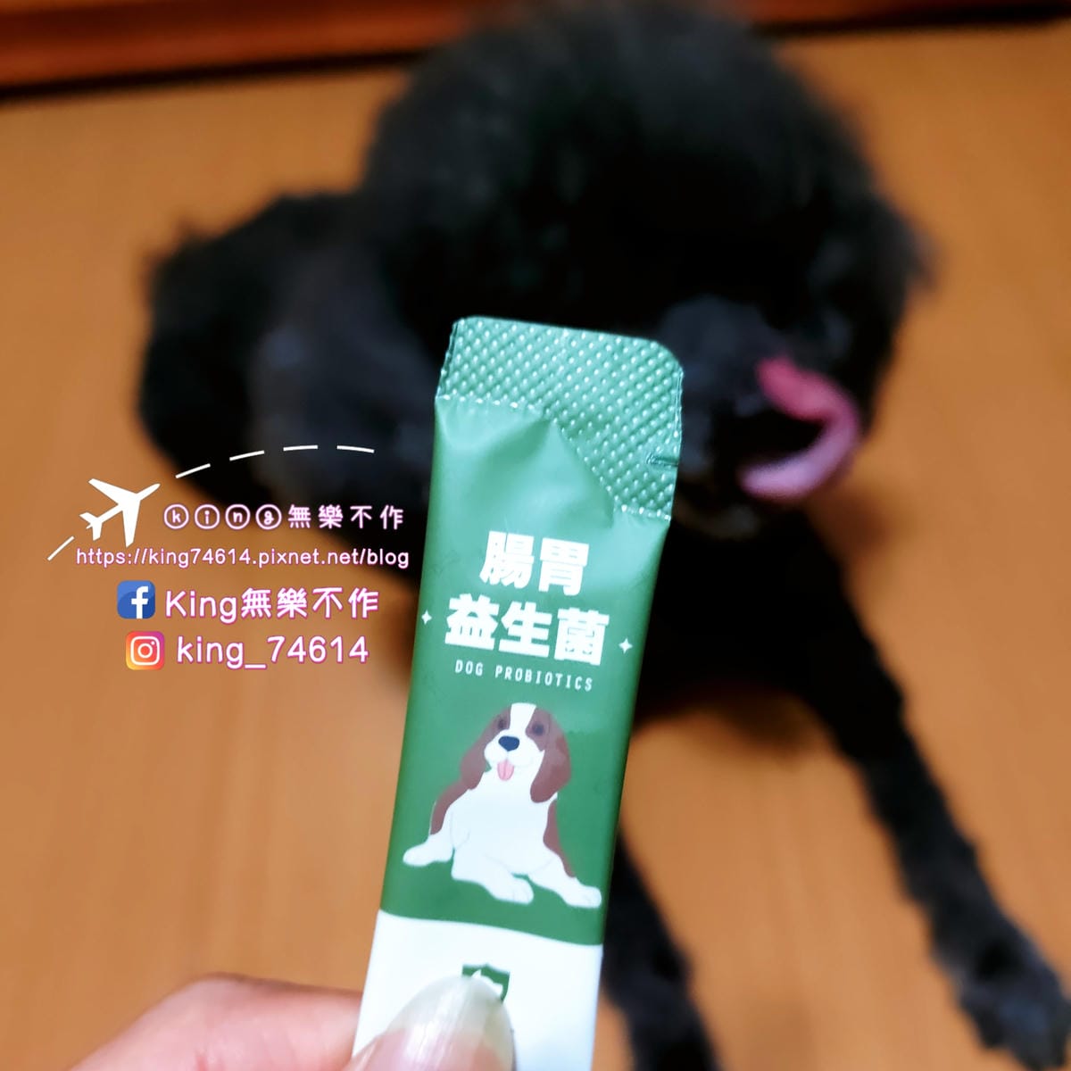 ［寵物 保健］毛博士drmorepet寵物保健 | 養膚鱉蛋粉 & 腸胃益生菌 |不含人工香料、色素、防腐劑、基因改造