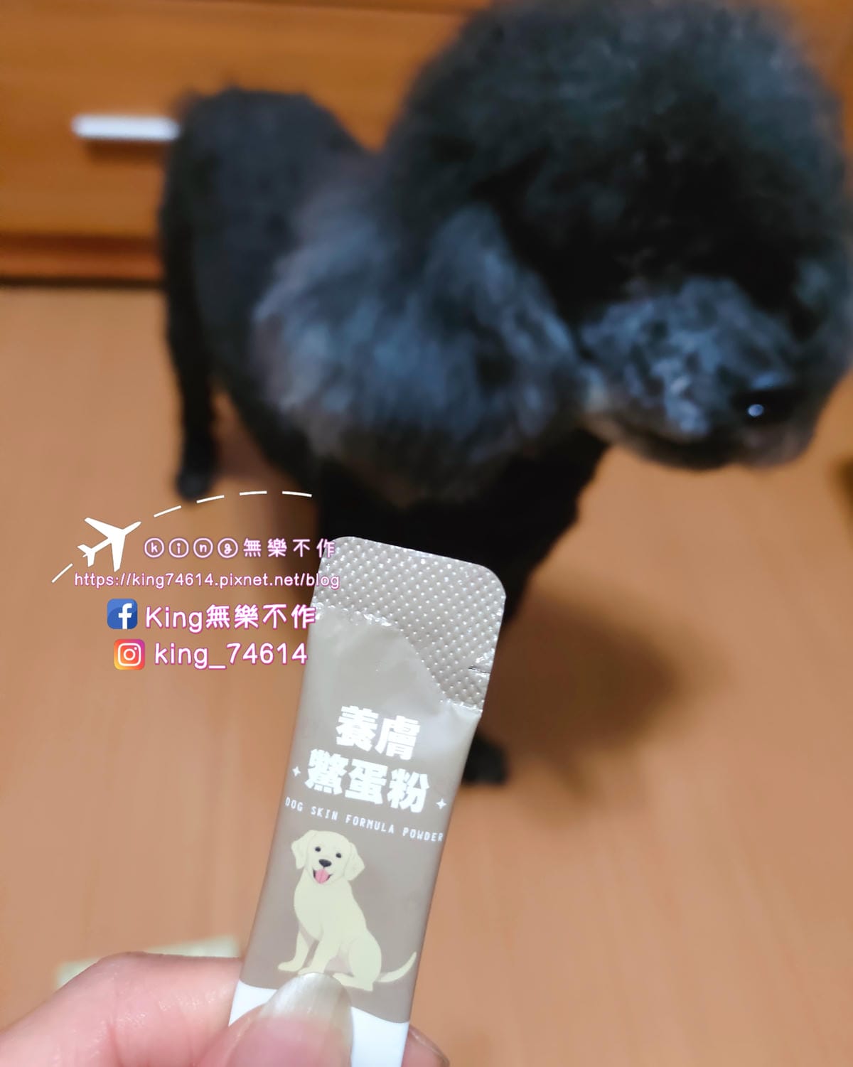 ［寵物 保健］毛博士drmorepet寵物保健 | 養膚鱉蛋粉 & 腸胃益生菌 |不含人工香料、色素、防腐劑、基因改造
