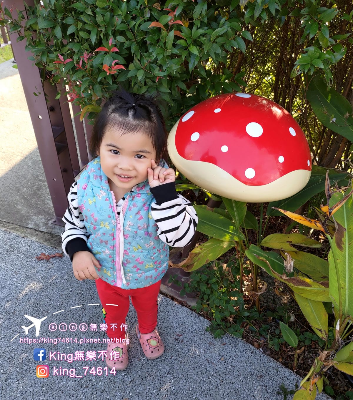 ［桃園 公園］大有梯田生態公園 | 勇闖九關挑戰體能極限 | 親子滑梯&溜索滑梯 | 遛小孩放電好去處