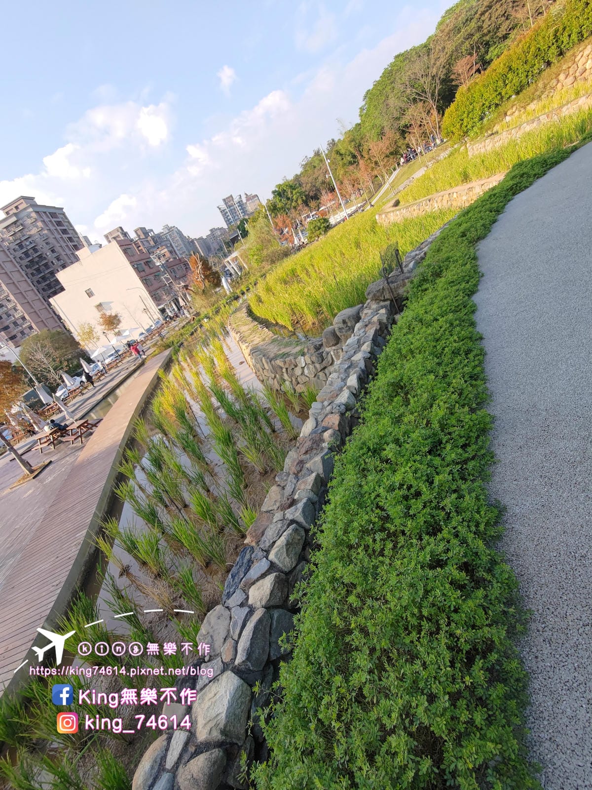 ［桃園 公園］大有梯田生態公園 | 勇闖九關挑戰體能極限 | 親子滑梯&溜索滑梯 | 遛小孩放電好去處