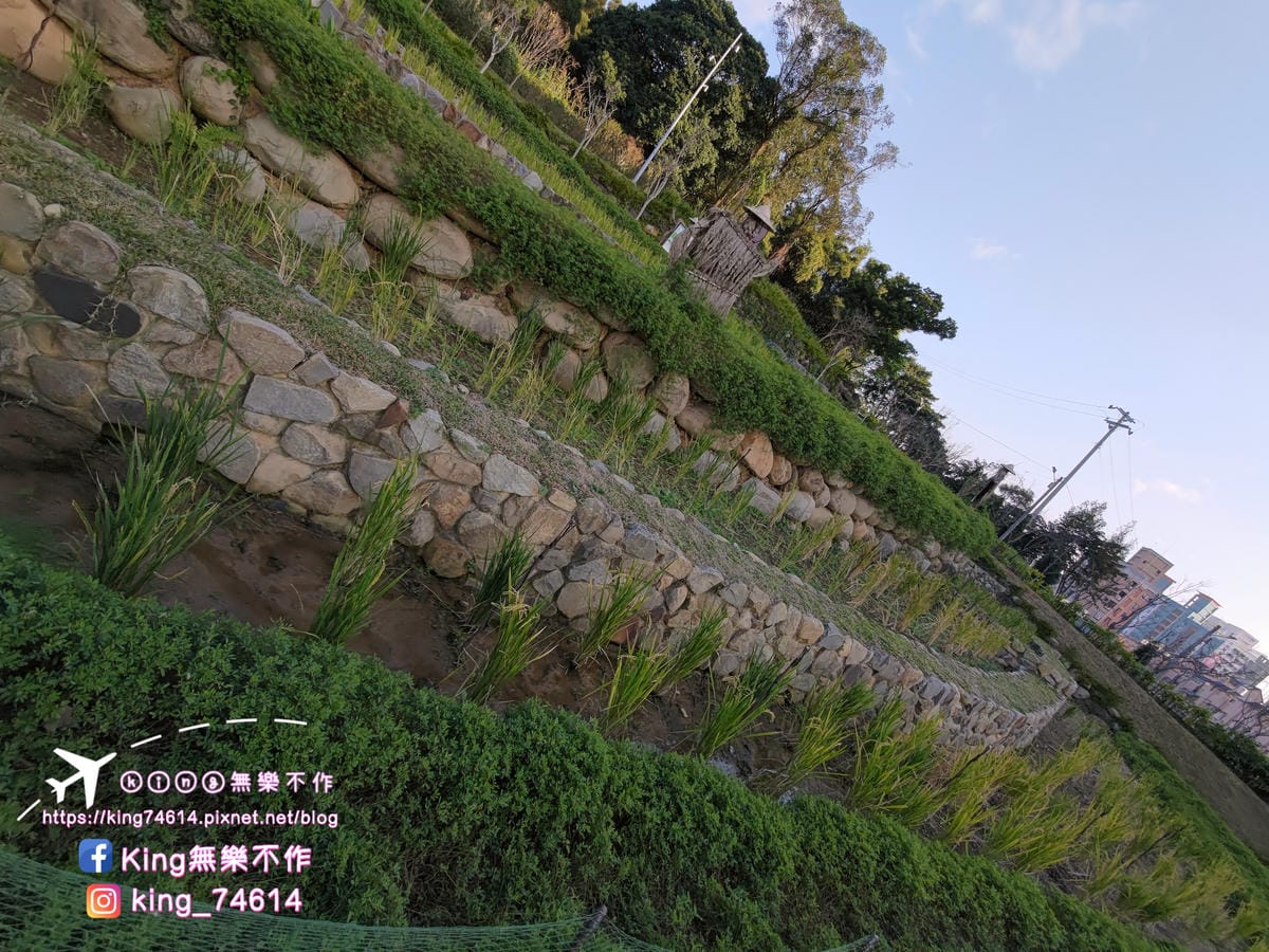 ［桃園 公園］大有梯田生態公園 | 勇闖九關挑戰體能極限 | 親子滑梯&溜索滑梯 | 遛小孩放電好去處