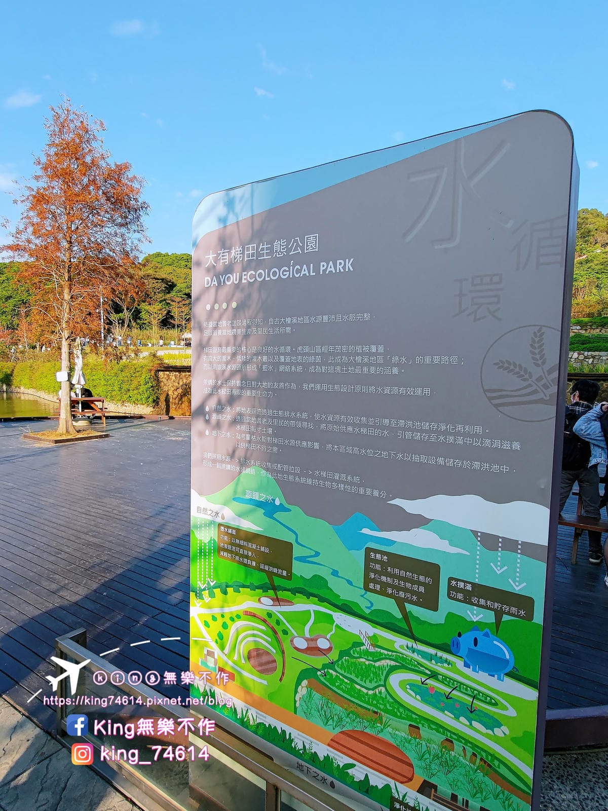 ［桃園 公園］大有梯田生態公園 | 勇闖九關挑戰體能極限 | 親子滑梯&溜索滑梯 | 遛小孩放電好去處