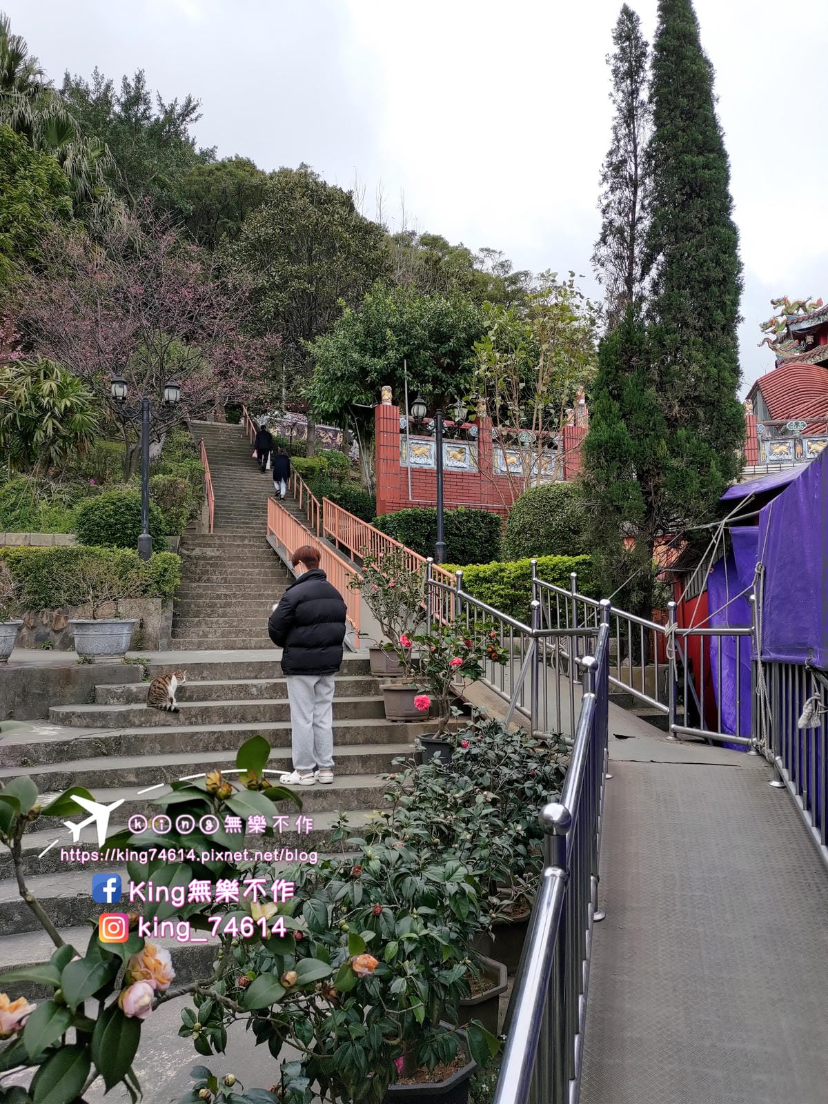〔宗教巡禮〕〔龜山〕壽山巖觀音寺 | 🌟重點是櫻花園目前開5