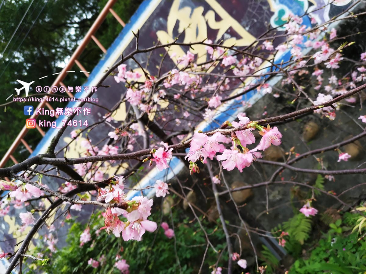 〔宗教巡禮〕〔龜山〕壽山巖觀音寺 | 🌟重點是櫻花園目前開5