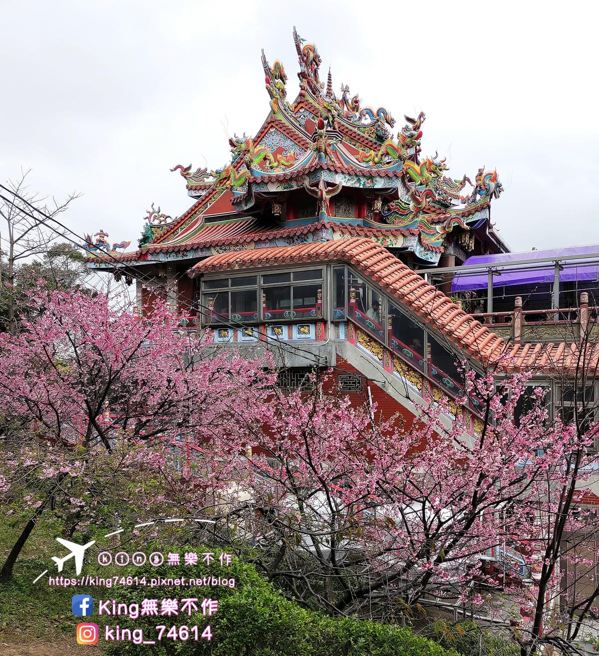 〔宗教巡禮〕〔龜山〕壽山巖觀音寺 | 🌟重點是櫻花園目前開5