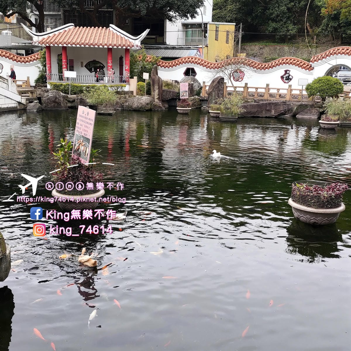 〔宗教巡禮〕〔龜山〕壽山巖觀音寺 | 🌟重點是櫻花園目前開5