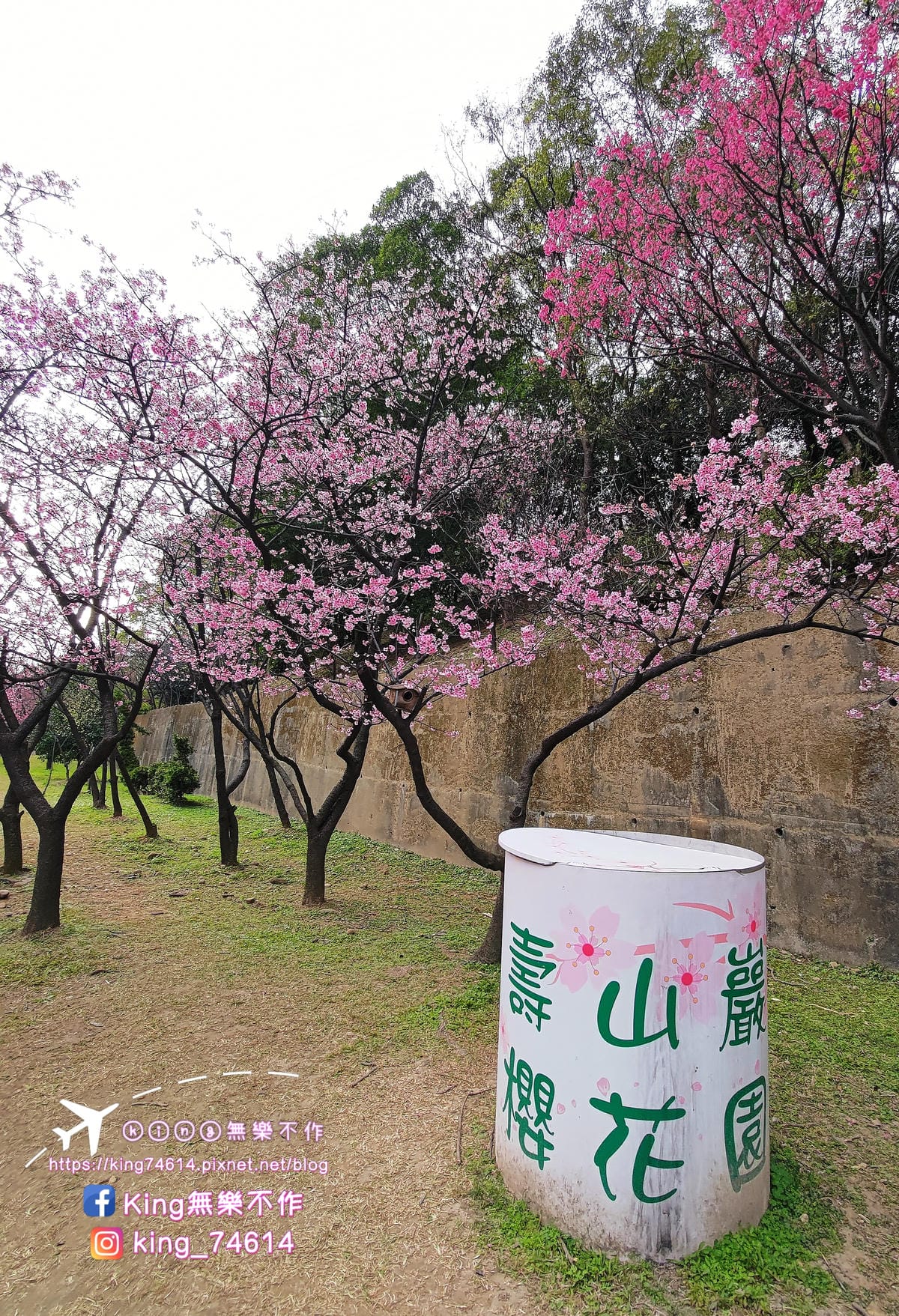 〔宗教巡禮〕〔龜山〕壽山巖觀音寺 | 🌟重點是櫻花園目前開5
