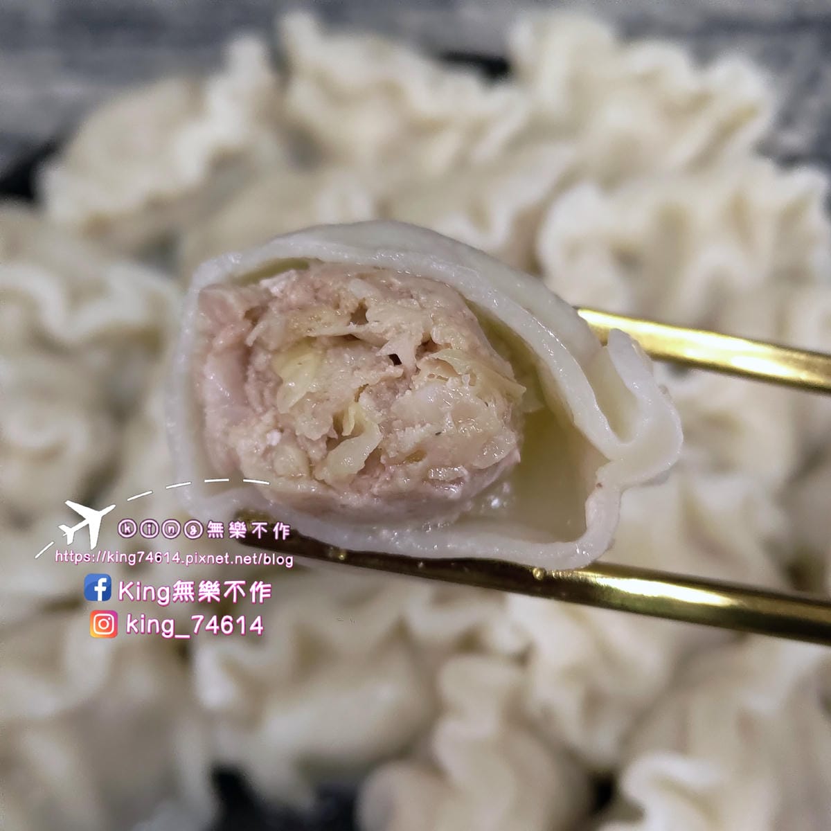 ［宅配 美食］源冠食品 一家人旺餃🥟 | 蔥多多水餃、高麗菜豬肉水餃 | 大顆滿足大人小孩都愛🥰
