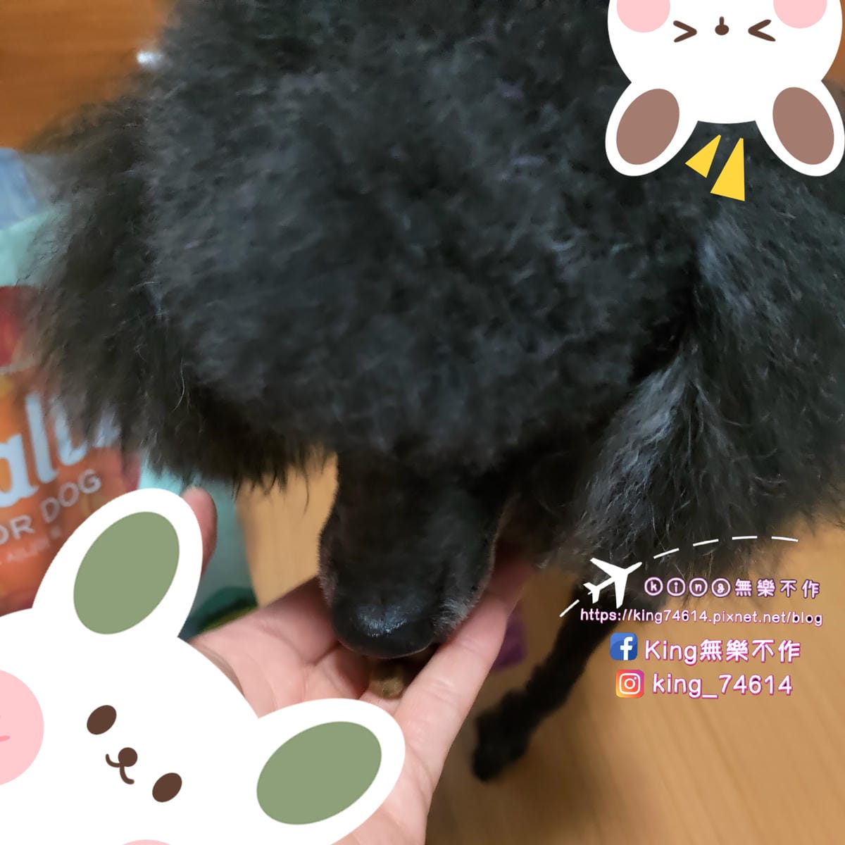 ［寵物 美食］Wealtz 維爾滋 | 韓國進口好吃好餵的天