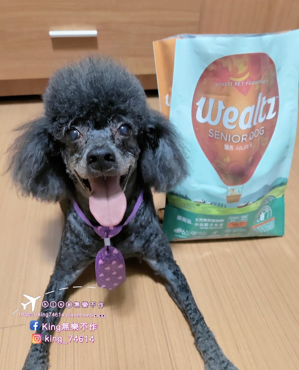 ［寵物 美食］Wealtz 維爾滋 | 韓國進口好吃好餵的天