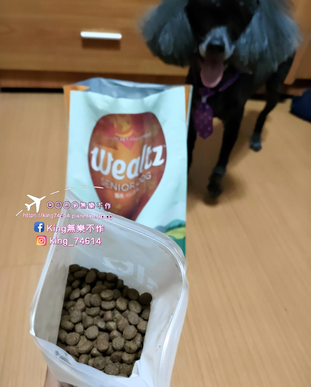 ［寵物 美食］Wealtz 維爾滋 | 韓國進口好吃好餵的天