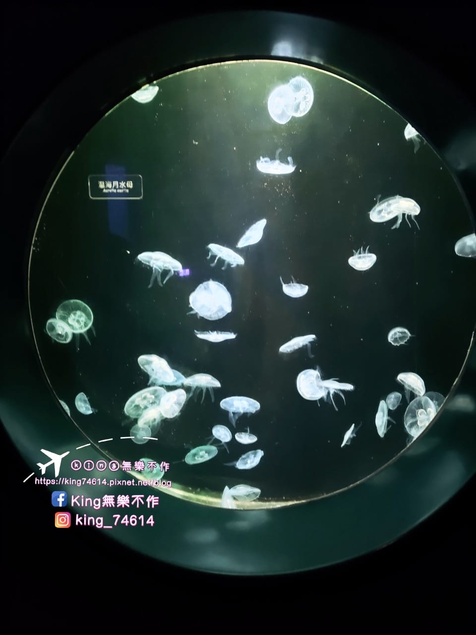 ［屏東 親子景點］國立海洋生物博物館 | 墾丁親子必玩推薦景