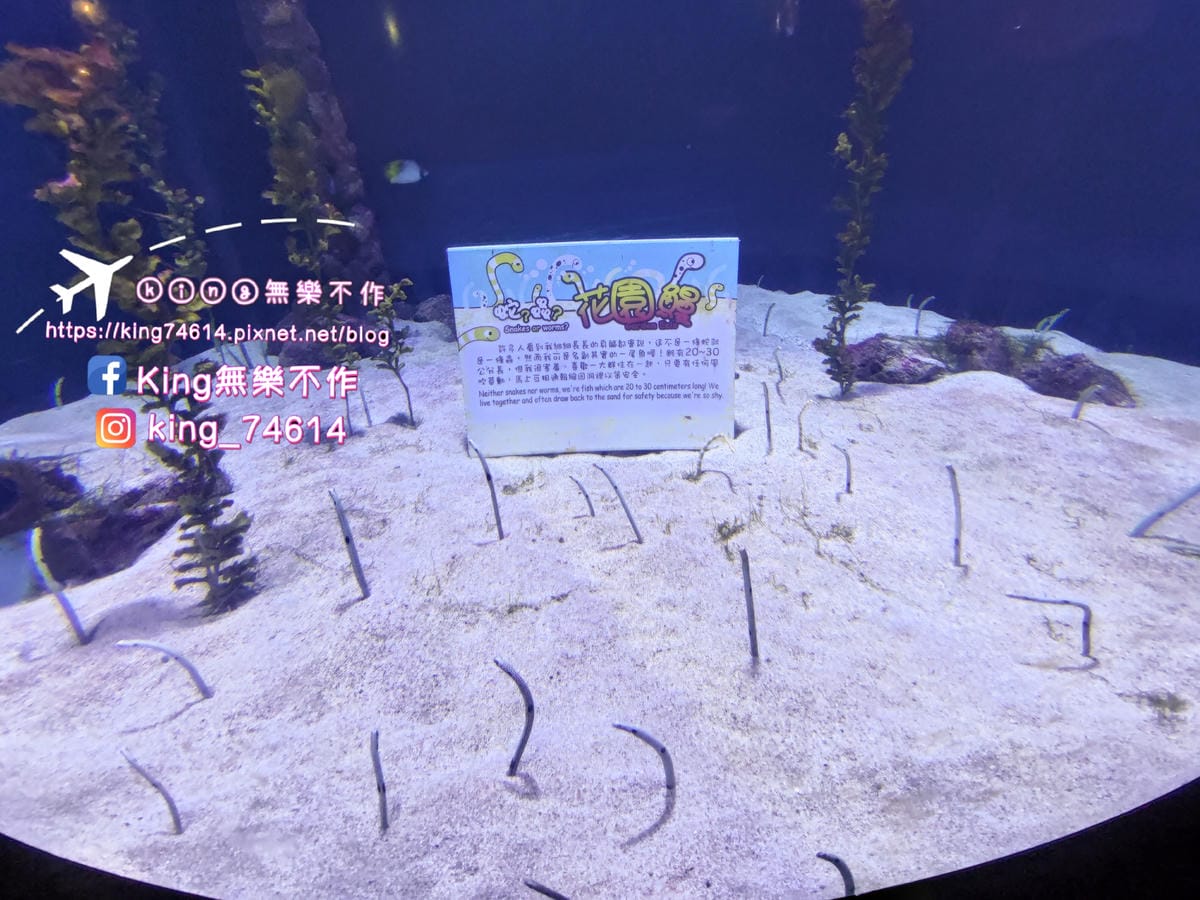 ［屏東 親子景點］國立海洋生物博物館 | 墾丁親子必玩推薦景