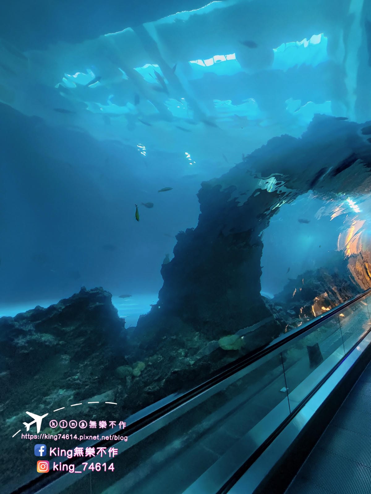 ［屏東 親子景點］國立海洋生物博物館 | 墾丁親子必玩推薦景