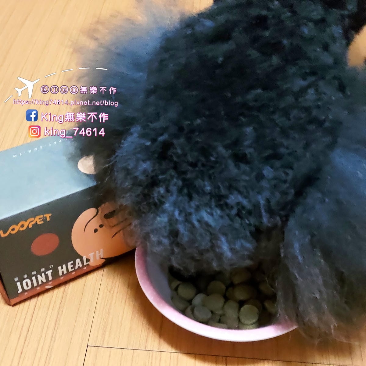 ［寵物 保健］LOOPET寵物關節保健、皮膚益生菌 | 關節