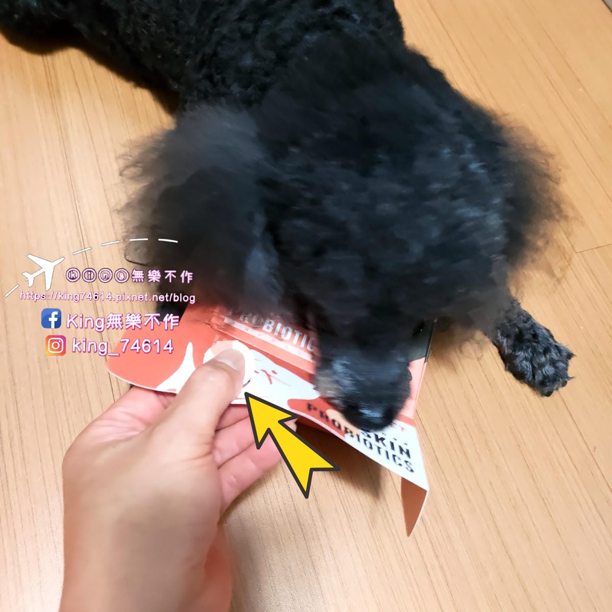 ［寵物 保健］LOOPET寵物關節保健、皮膚益生菌 | 關節