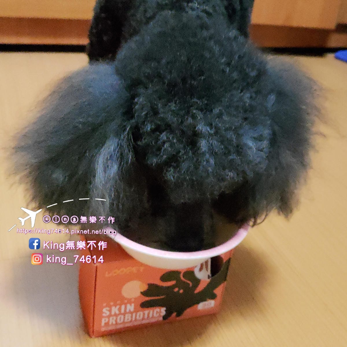 ［寵物 保健］LOOPET寵物關節保健、皮膚益生菌 | 關節