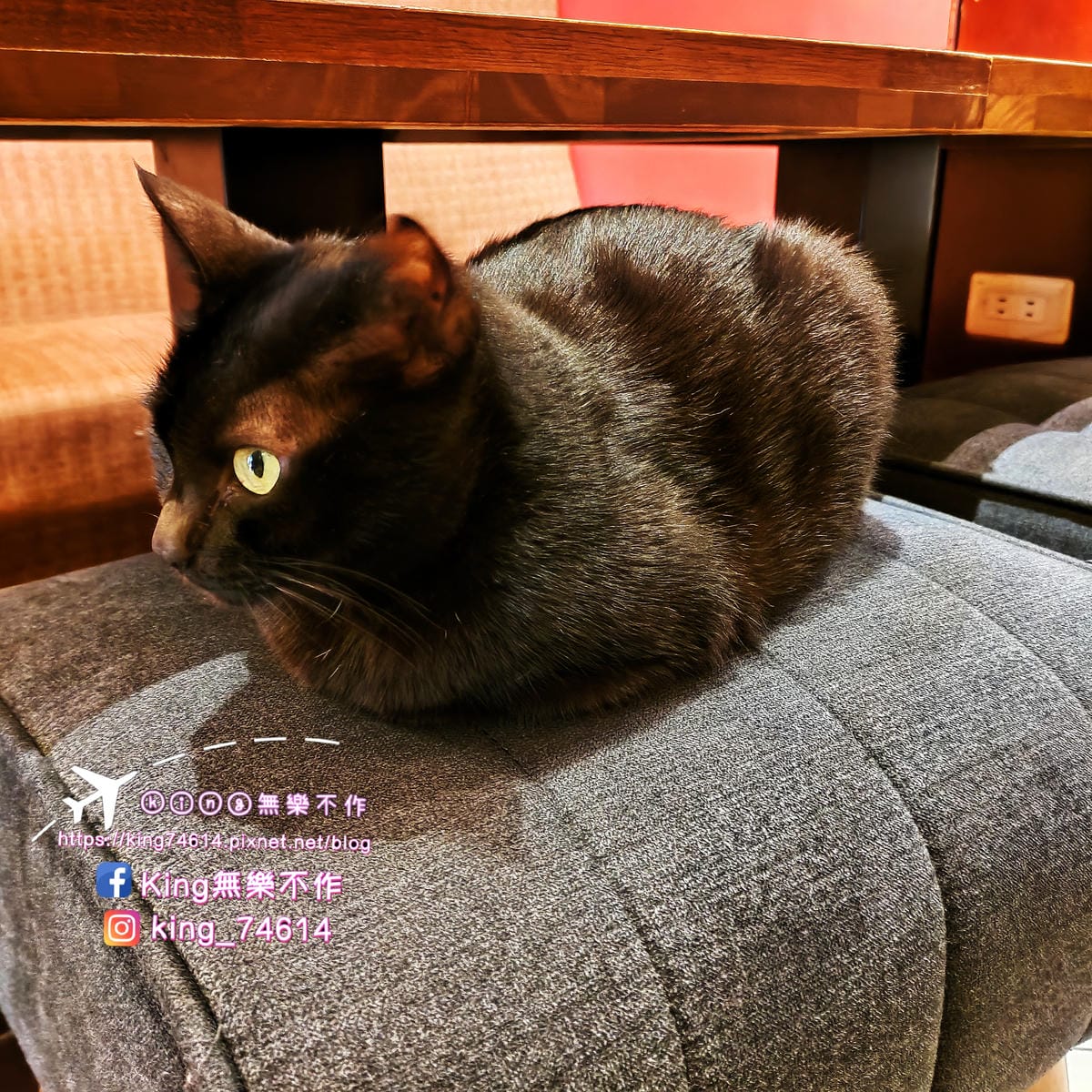 ［台北 美食］貓妝自家烘焙咖啡館 | 😻喵星人坐檯還可以擼貓