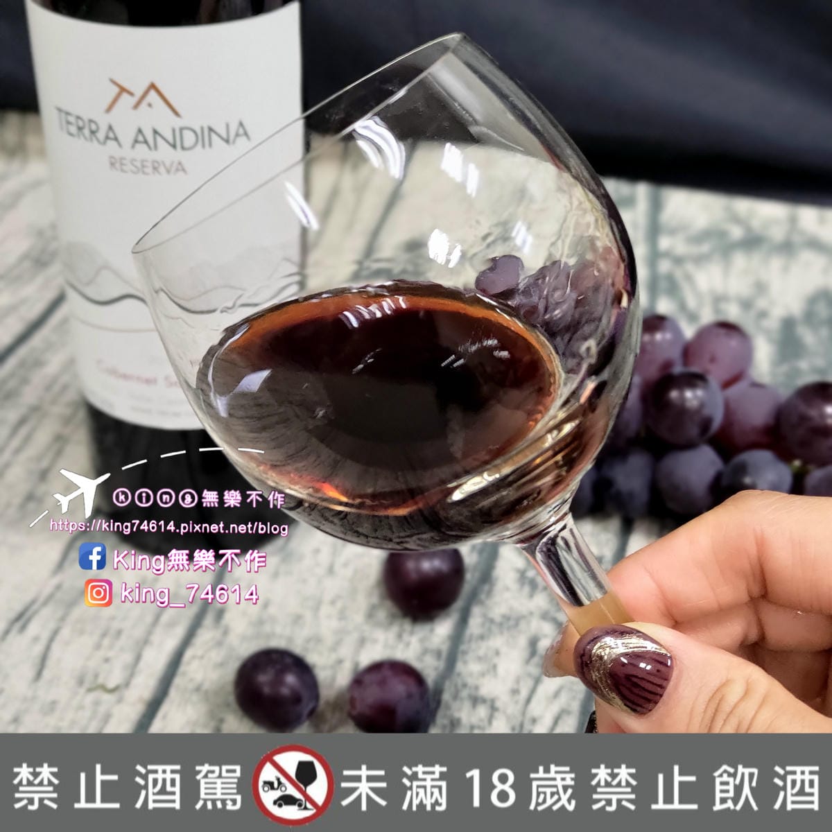 ［開箱］［葡萄酒推薦🍷］智利德安媞娜酒莊-珍藏系列-卡本內蘇