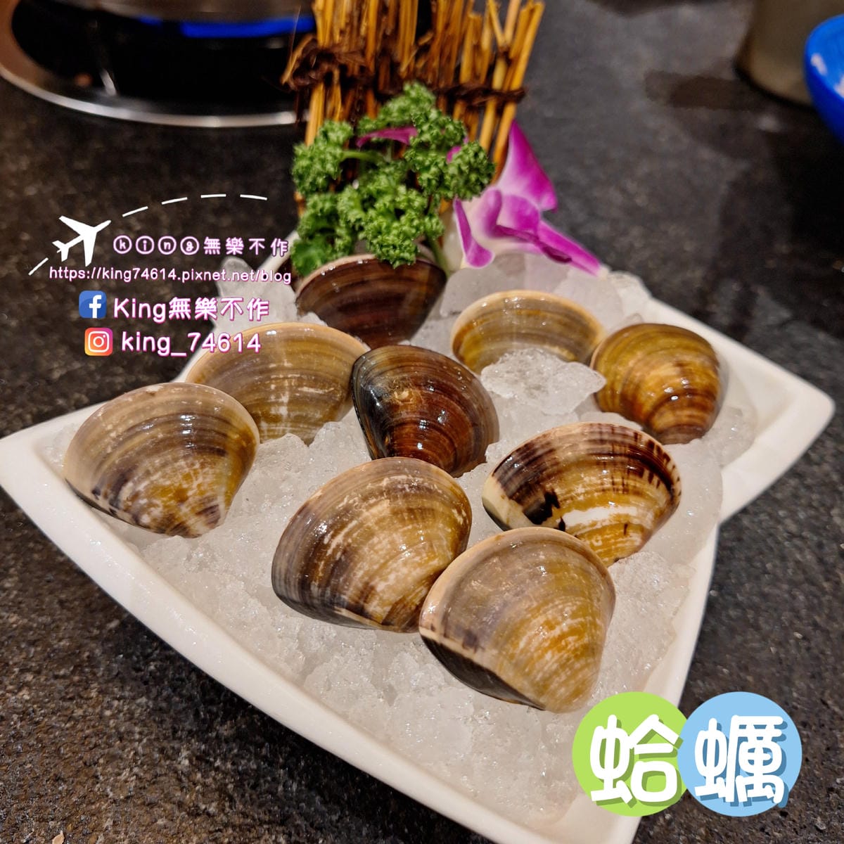 〔桃園 美食〕泰滾泰式火鍋｜森林系網美火鍋讓你一秒到泰國｜當