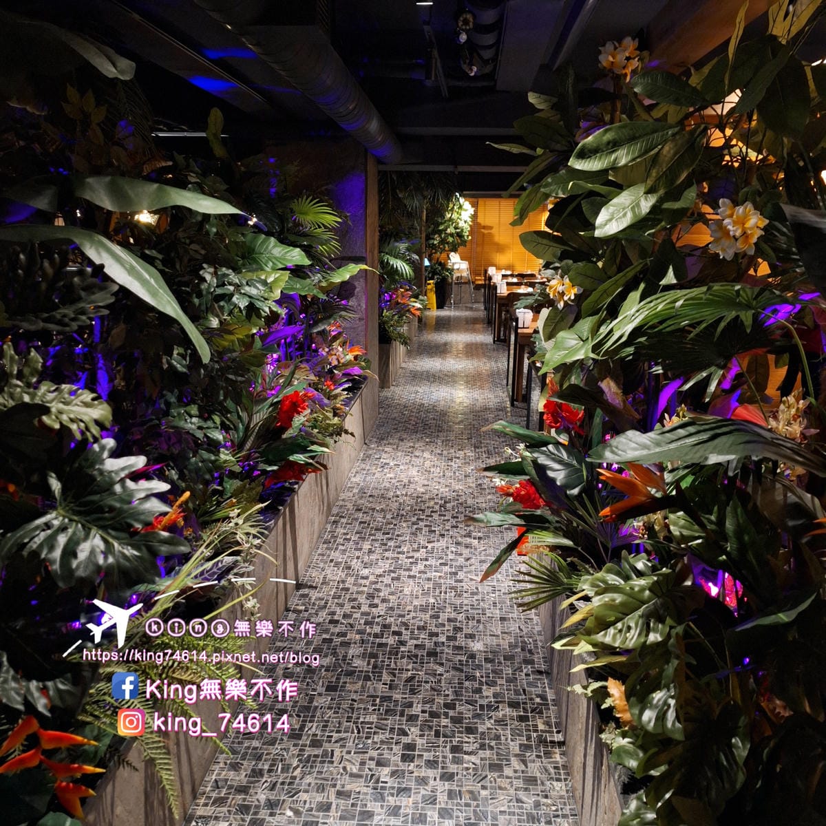 〔桃園 美食〕泰滾泰式火鍋｜森林系網美火鍋讓你一秒到泰國｜當